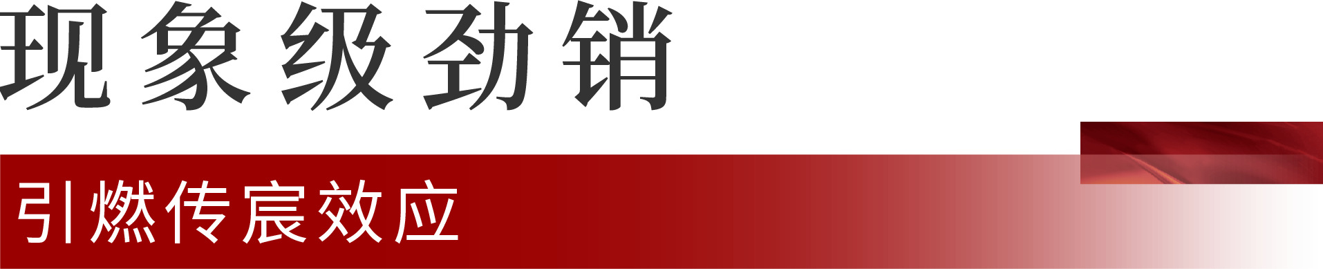 02.png 02.png