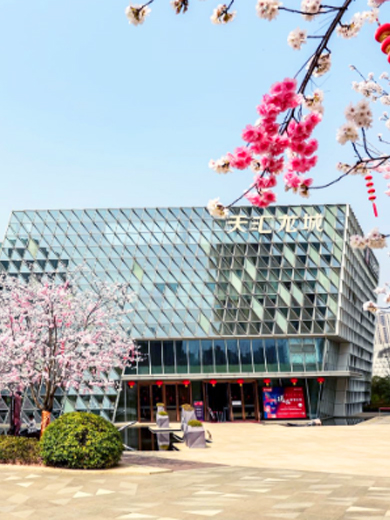 �����羺��(�й���)�ٷ���վ