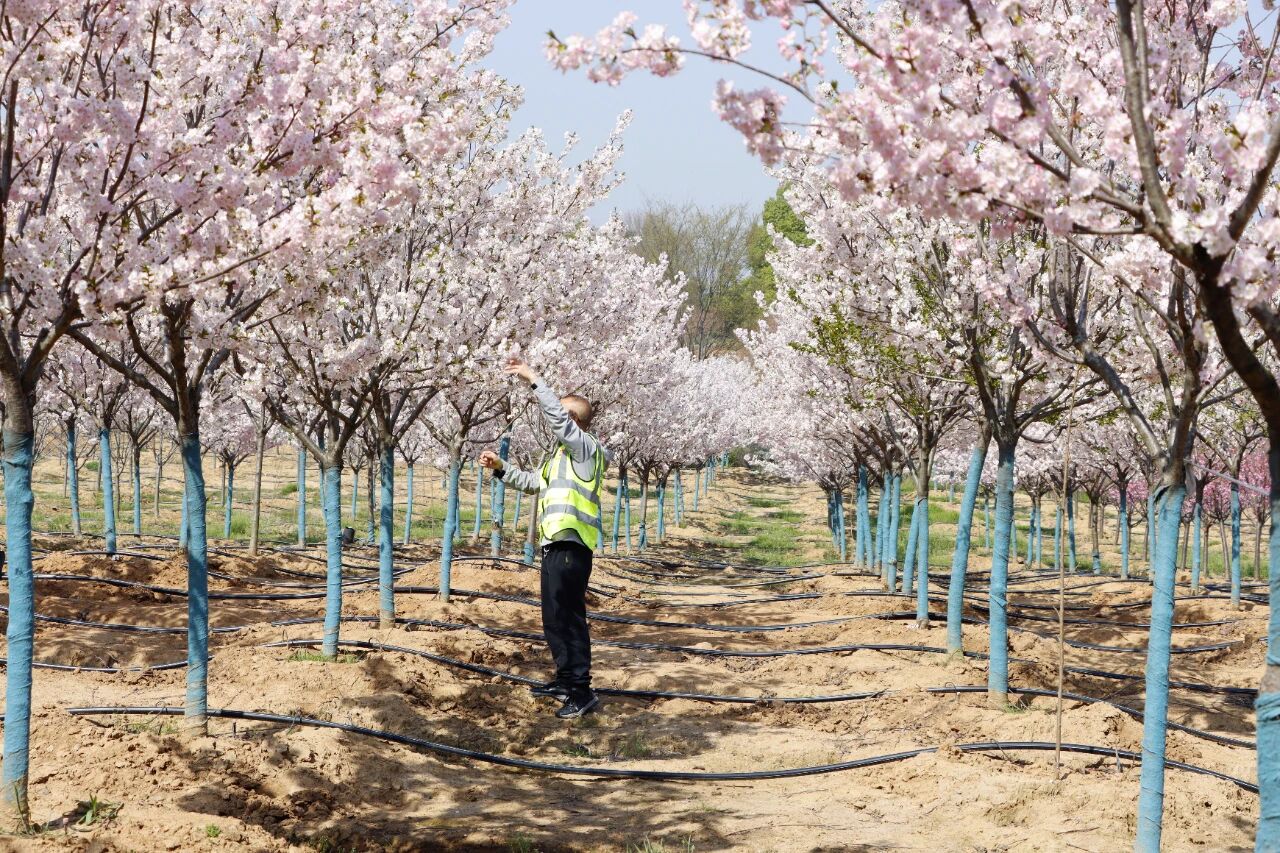 �����羺��(�й���)�ٷ���վ