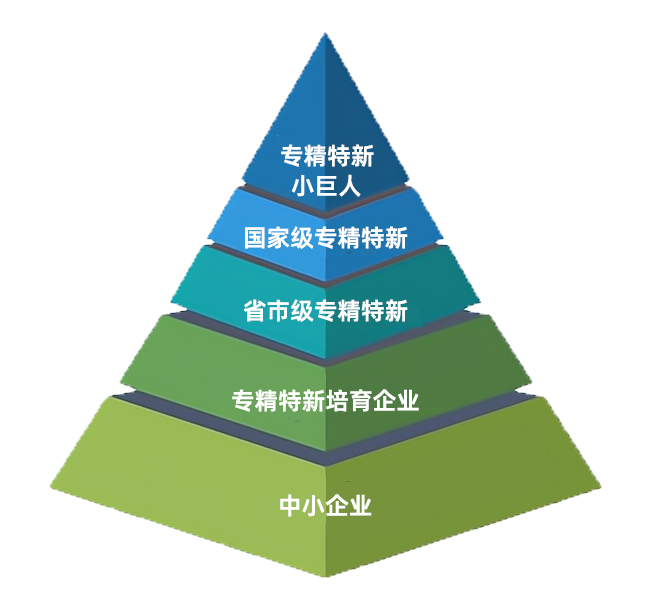 省级名单！莒南这些优异企业上榜-山东省2023年度专精特新中小企业公示名单